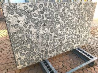 ORBICOLARE - Granito leggero - Prodotto da FFPANELS®